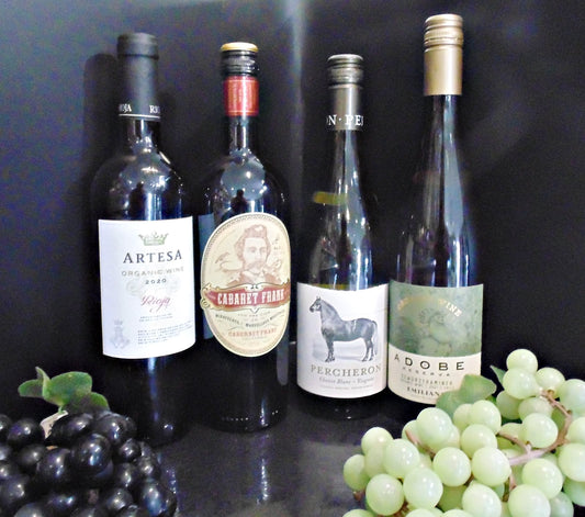 Vino Voyage: Navigating National Wine Day